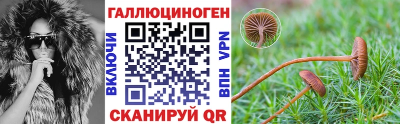 Галлюциногенные грибы Magic Shrooms  Александровск-Сахалинский 